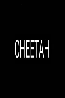 Cheetah